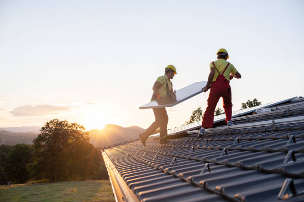 Best Storm Damage Roof Repair  in Forest Park, IL