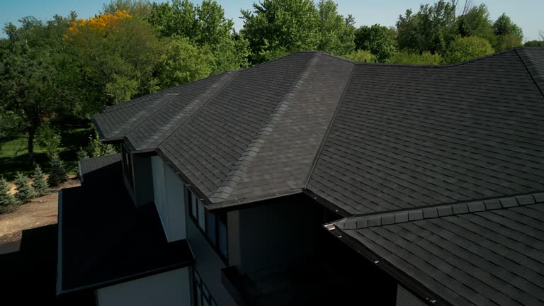 Best Roof Leak Repair  in Forest Park, IL