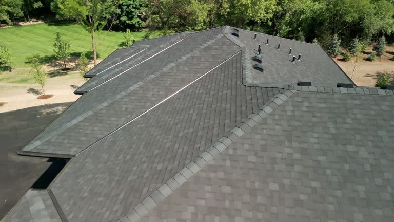 Best Rubber Roofing (EPDM, TPO)  in Forest Park, IL