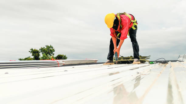 Best Chimney Flashing Repair  in Forest Park, IL