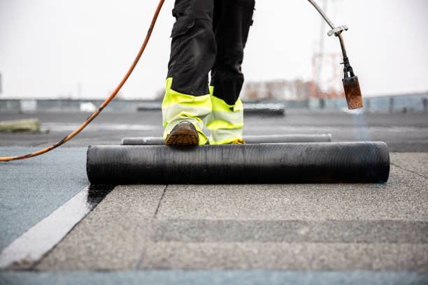 Best Flat Roofing  in Forest Park, IL