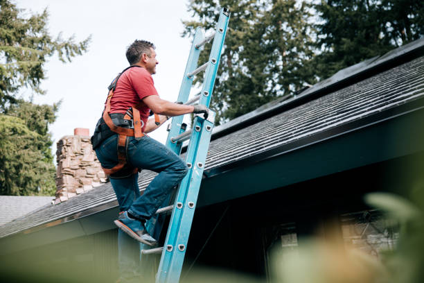 Best Steel Roofing  in Forest Park, IL