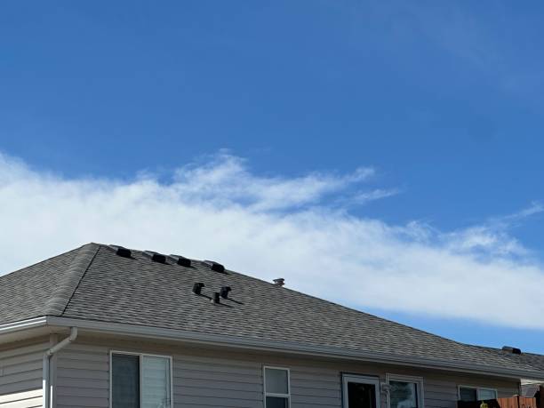 Best Wood Shake Roofing  in Forest Park, IL